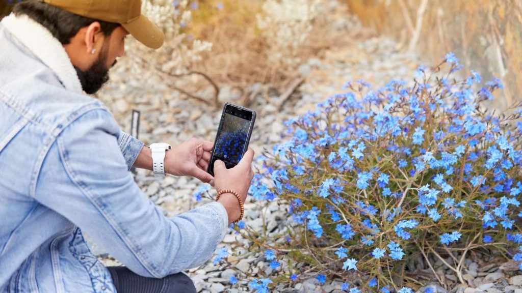What’s On Cranbourne – Autumn at the Botanic Gardens