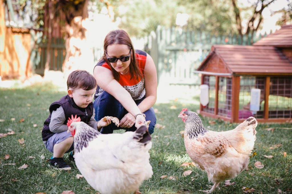 Things to See and Do in the City of Casey